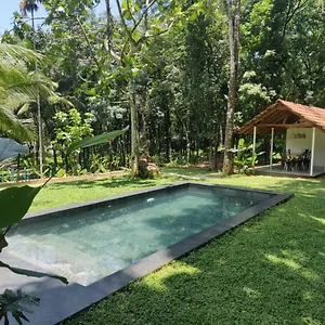 Pool - The Humming Trees, Pala Villa