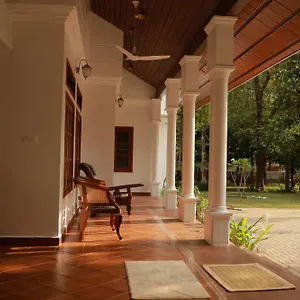 Nature's Nest Villa